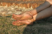 [53050.jpg]