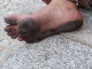 [81663.jpg]